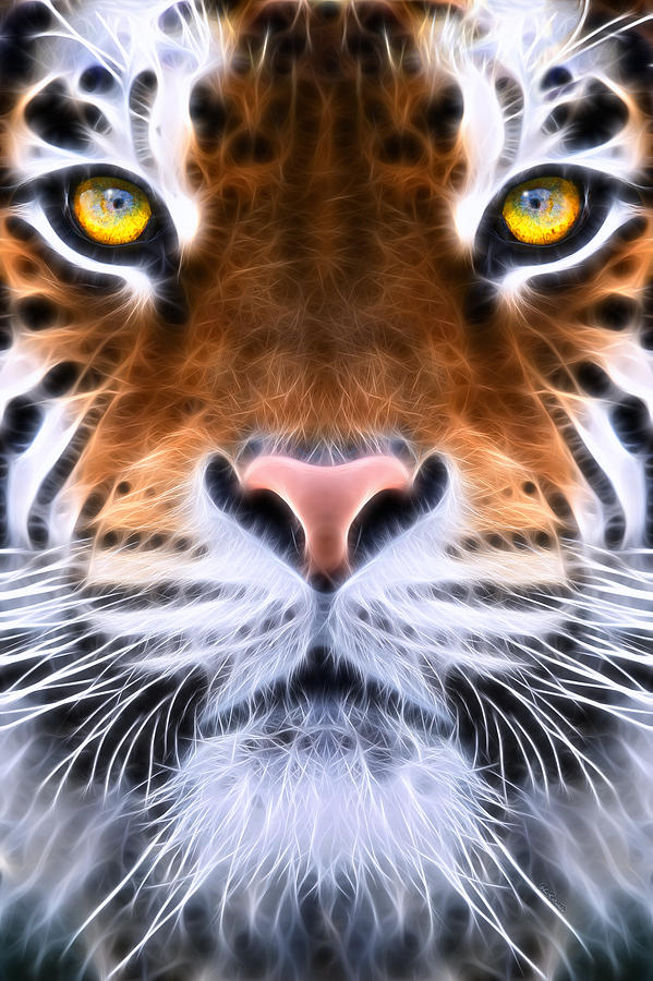 Tiger Photograph - Tiger Eye #2 by John Robichaud