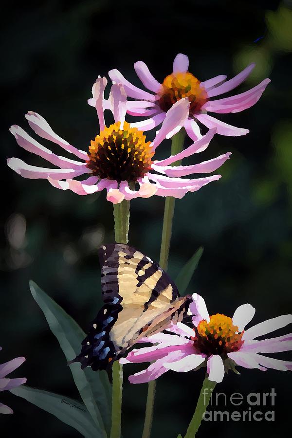 Tiger Swallowtail Photograph by Yumi Johnson