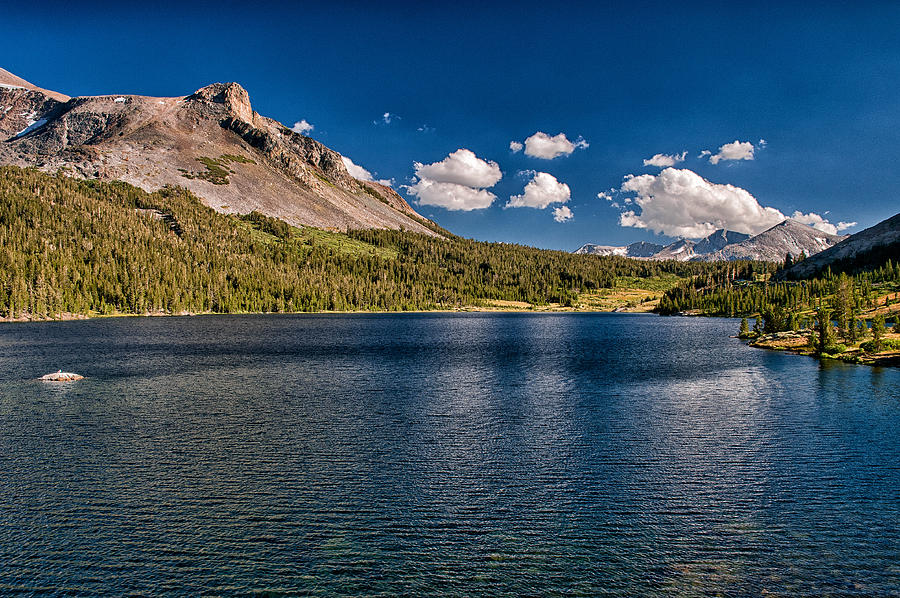 Yosemite National Park Photograph - Tioga Lake #2 by Cat Connor