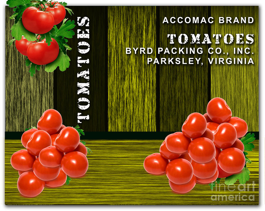 Tomato Mixed Media - Tomato Farm #2 by Marvin Blaine