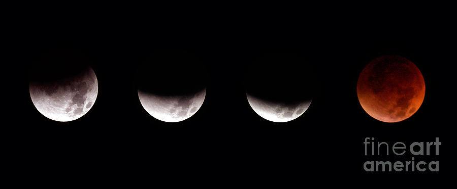 Total Lunar Eclipse #2 Photograph by John Chumack