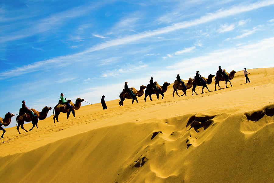 Tourists Riding Camels On Desert Dunes #2 Photograph by Aldo Pavan