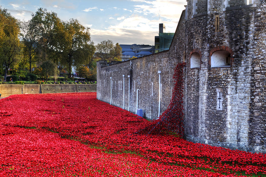 Tower of London Poppies #3 Photograph by Chris Day