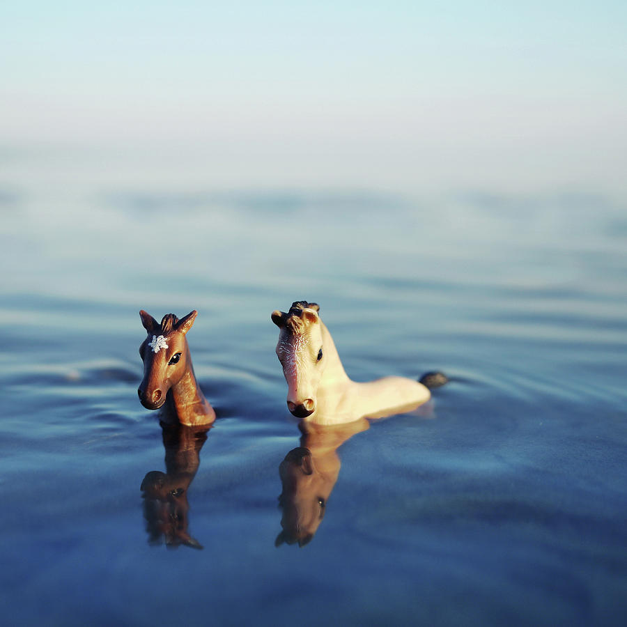 2 Toy Horses Swimming In The Sea Photograph by Fiona Crawford Watson