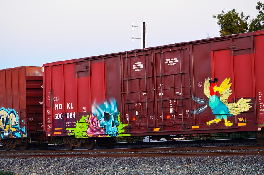 Train Graffiti  #2 Photograph by Brent Dolliver