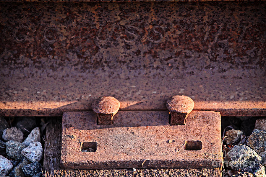 Train Track #2 Photograph by Henrik Lehnerer