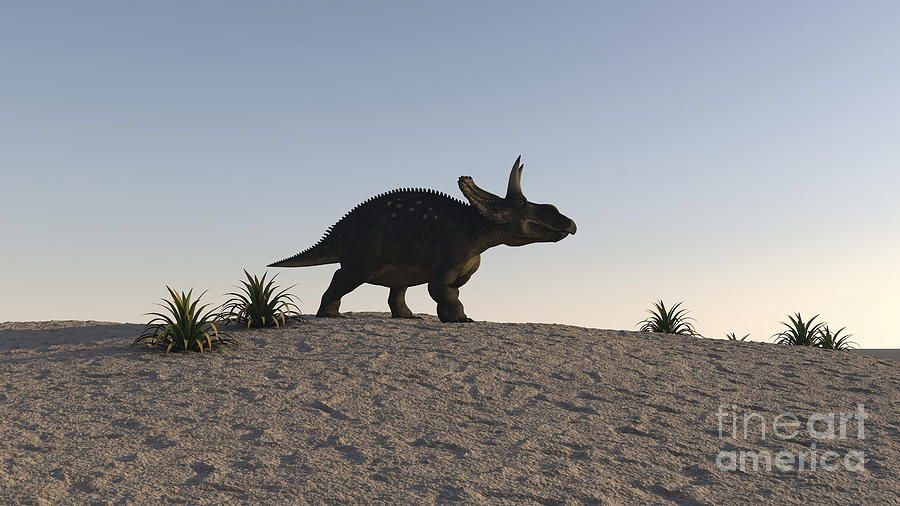 triceratops walking