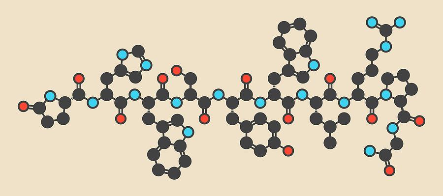 Gonadotropin Photograph - Triptorelin Drug Molecule #2 by Molekuul