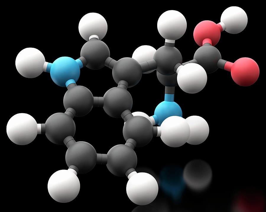 Молекула м 5. Триптофан молекула. Молекула композиция. Аминокислоты арт. Активные молекулы.