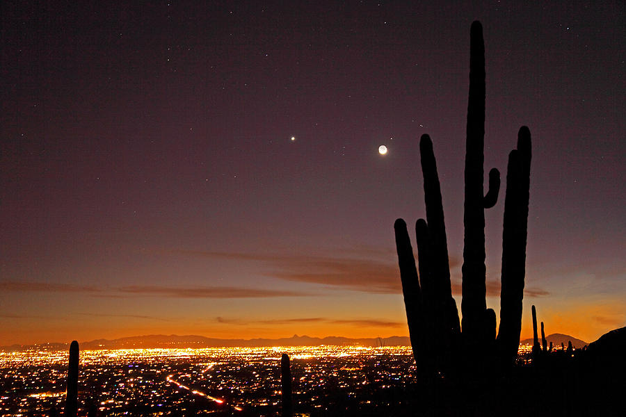 Tucson at Dusk by Susan Rovira Tucson at Dusk by Susan Rovira
