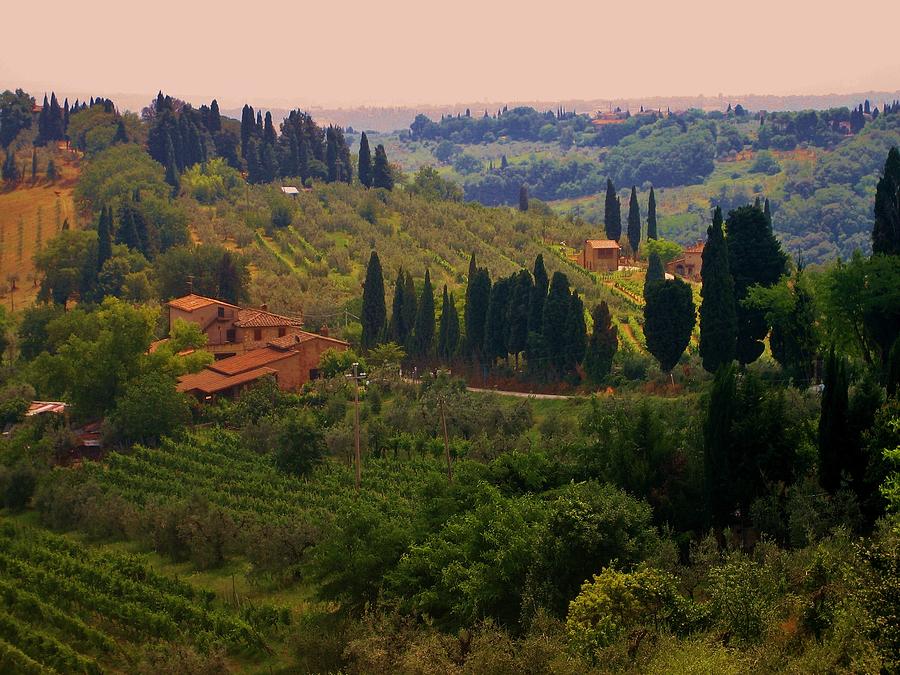 Tuscan Landscape #2 Photograph by Dany Lison