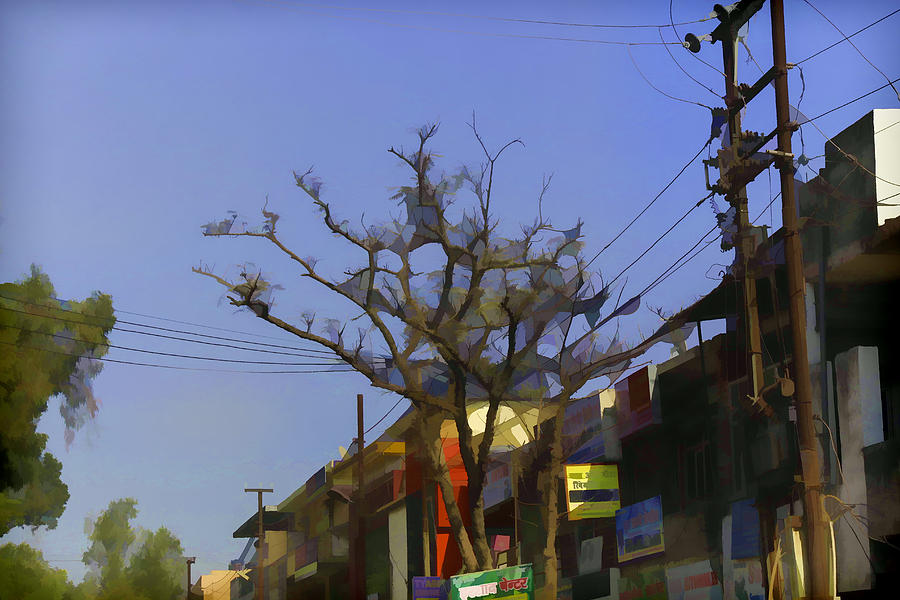 Tree Photograph - Typical scene in a street in a small town in India #2 by Ashish Agarwal