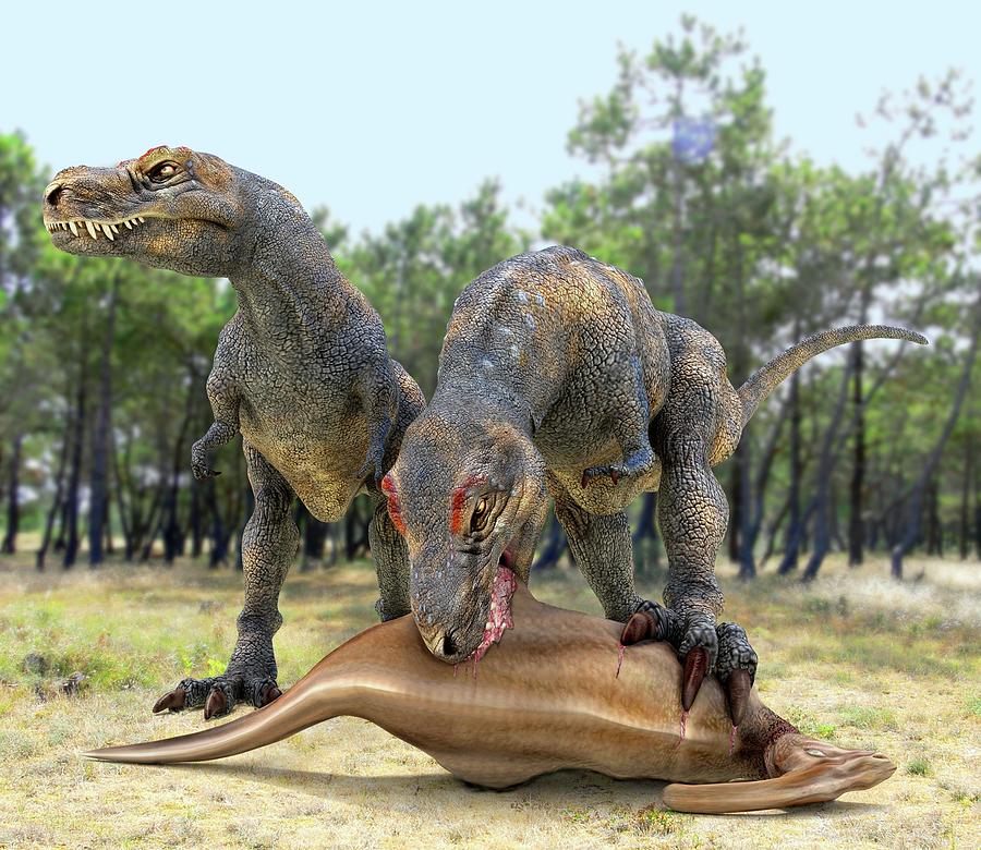 Tyrannosaurus Rex Dinosaurs Photograph by Roger Harris