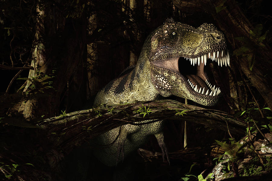 Tyrannosaurus Rex Photograph By Roger Harris Fine Art America 