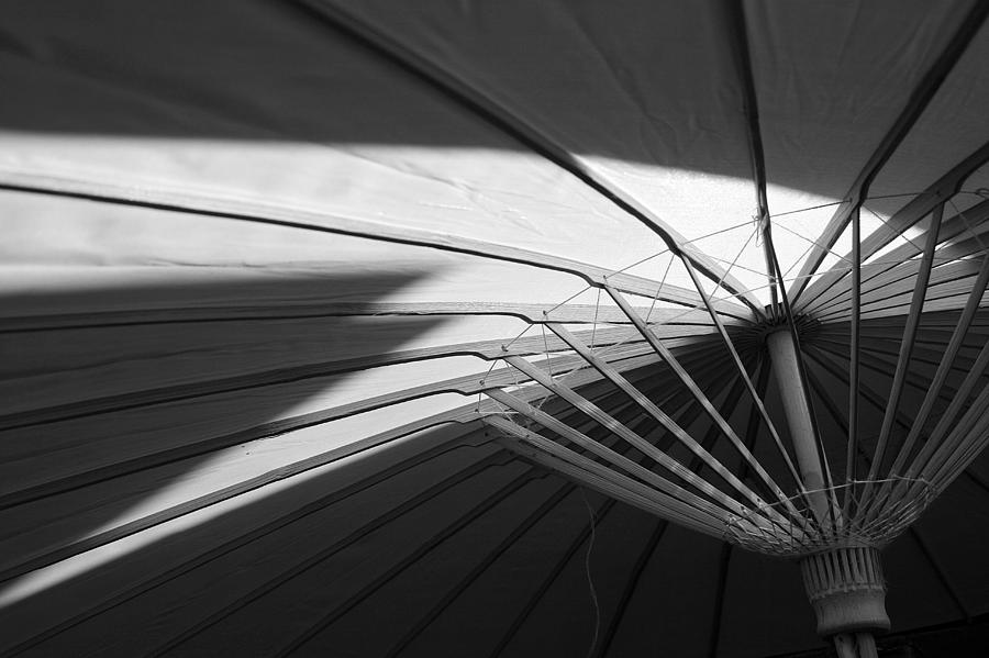 Umbrella #2 Photograph by PIXELS  XPOSED Ralph A Ledergerber Photography