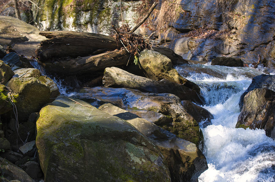 unnamed NC waterfall #2 Photograph by Flees Photos