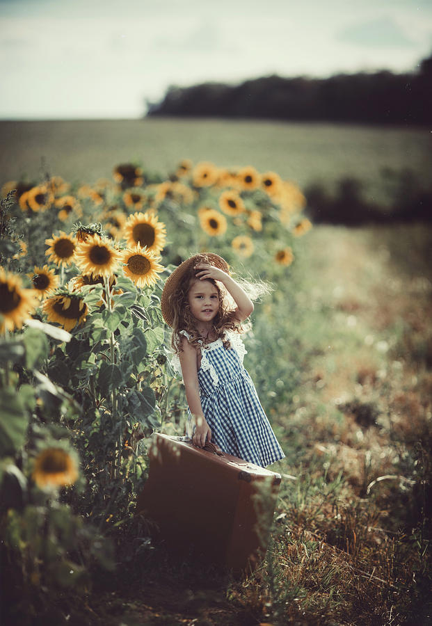 Sunflower Photograph - Untitled #2 by Koki Jovanovic