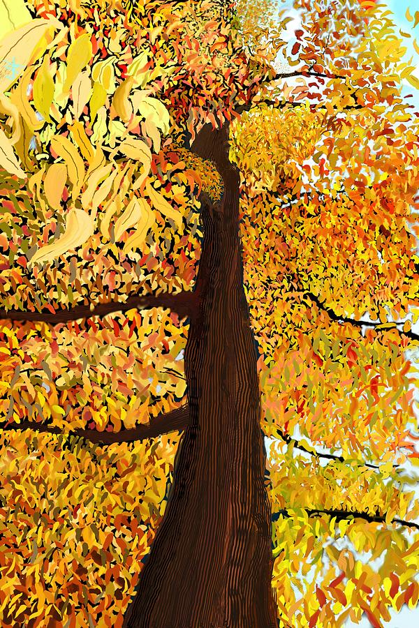 Up Tree Digital Art by Douglas Day Jones