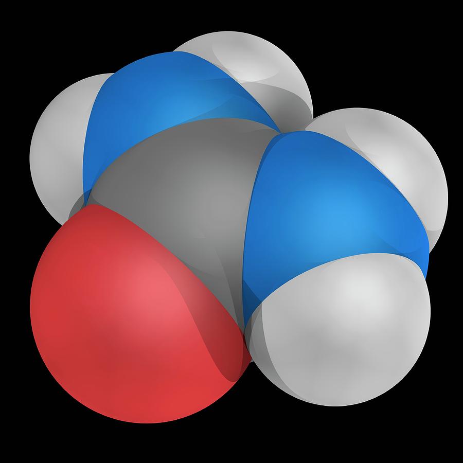 Urea Molecule Photograph by Laguna Design/science Photo Library