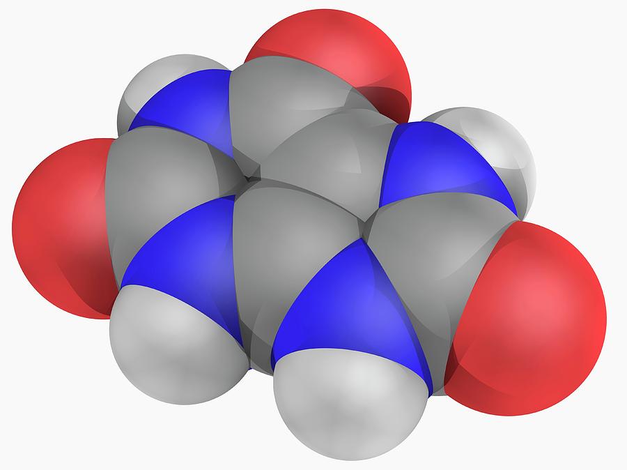 Uric Acid Molecule #2 Photograph by Laguna Design/science Photo Library