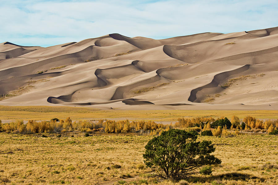 USA, Colorado, Alamosa, Great Sand Photograph by Bernard Friel