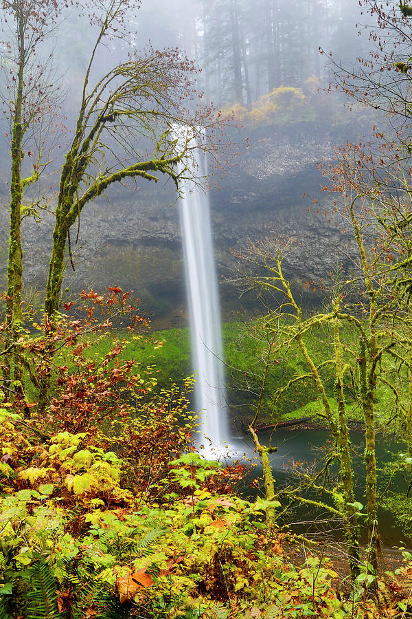 USA, Oregon, Silver Falls State Park Photograph by Hollice Looney - Pixels