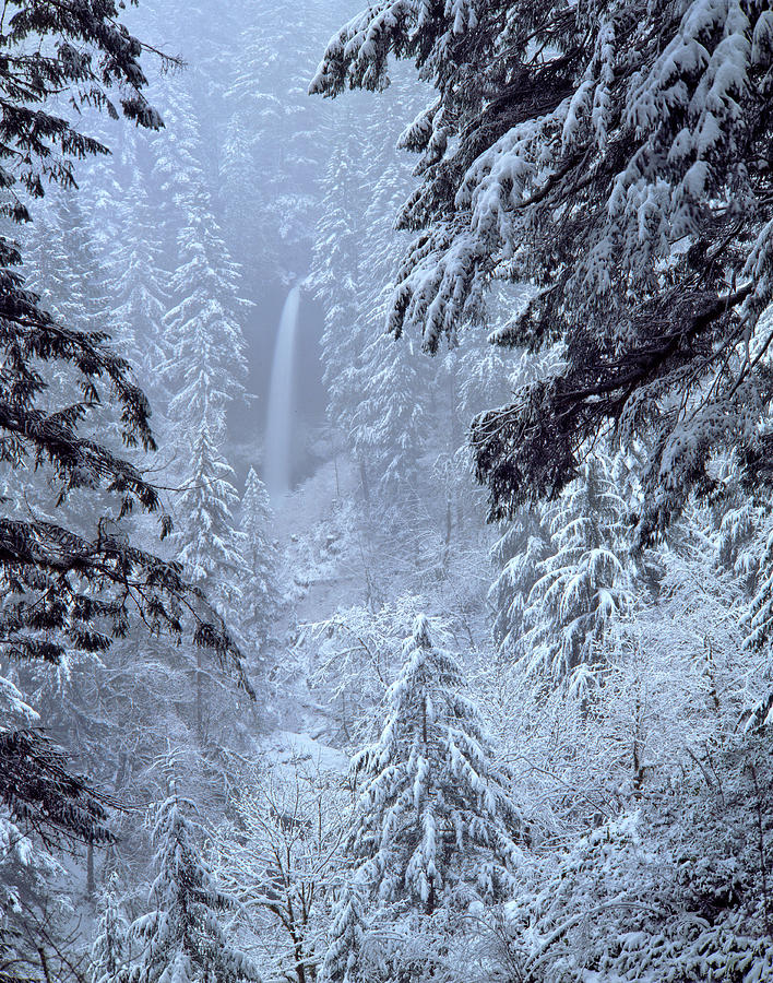 Winter Photograph - USA, Oregon, Silver Falls State Park #2 by Jaynes Gallery