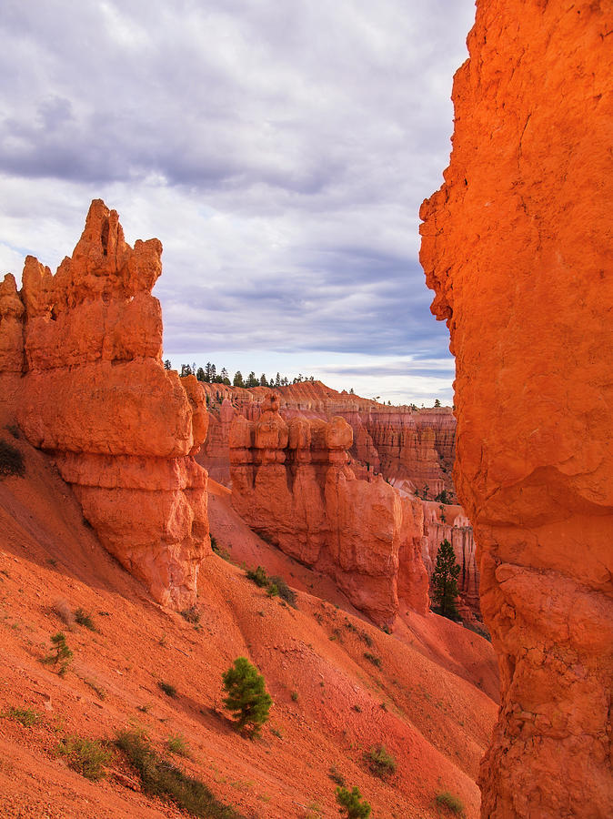 Usa, Utah, Bryce Canyon, Landscape With #2 Photograph by Daniel Grill