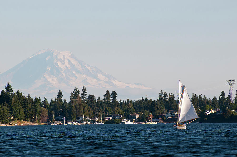 USA, Wa, Poulsbo Photograph by Trish Drury - Fine Art America