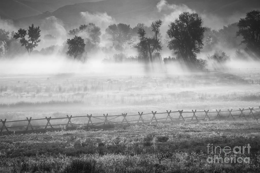 Valley Mists #2 Photograph by Idaho Scenic Images Linda Lantzy