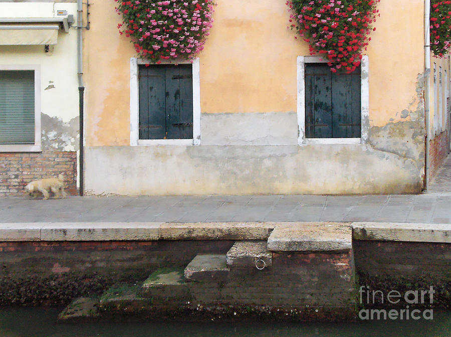 Venice Canal Shutters with Dog and Flowers Horizontal #2 Painting by Robyn Saunders