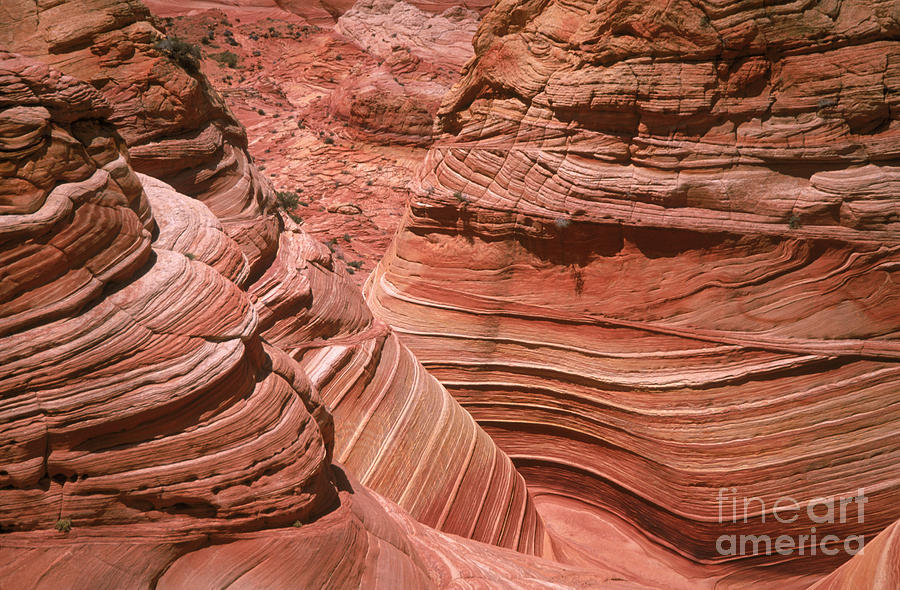 Vermilion Cliffs #2 Photograph by Mark Newman