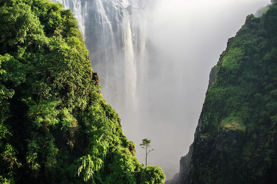 Nature Photograph - Victoria Falls  Livingstone, Zambia #2 by Remsberg Inc