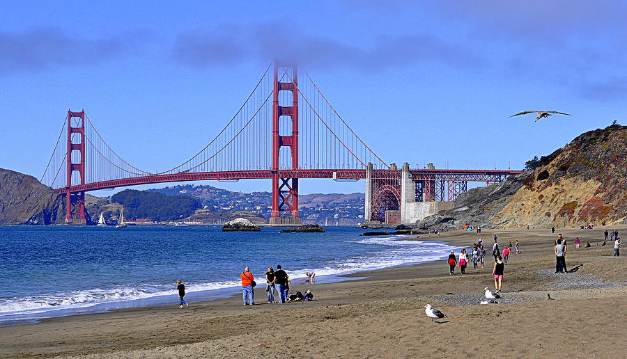 Birds View of the Golden Gate  Photograph by AJ  Schibig