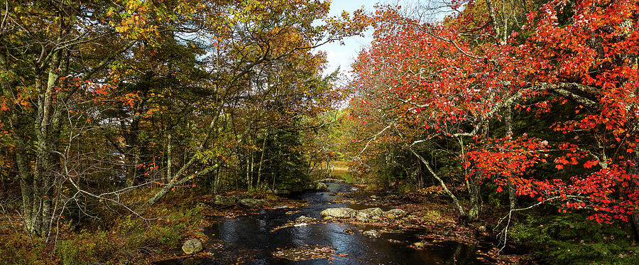 View Of Stream In Fall Colors, Maine #2 Photograph by Panoramic Images