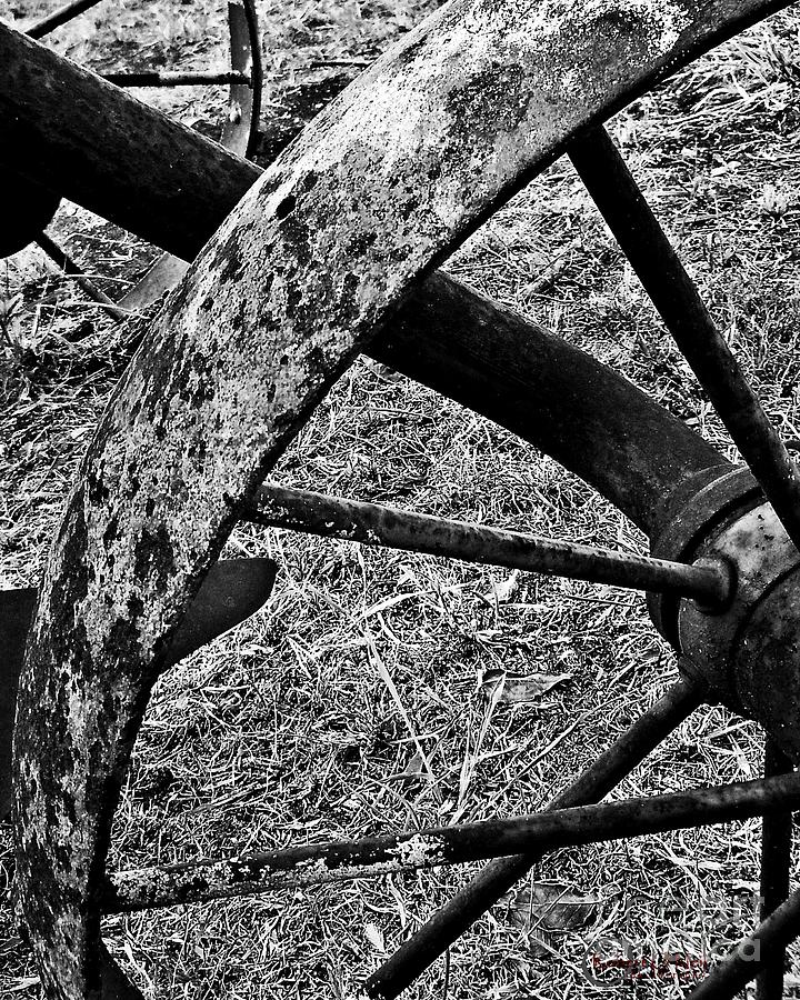 Vintage Plow #3 #2 Photograph by Robert ONeil