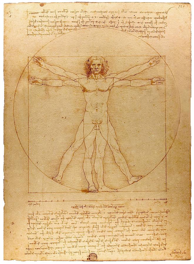 Leonardo Da Vinci Painting - Vitruvian Man #1 by Leonardo da Vinci