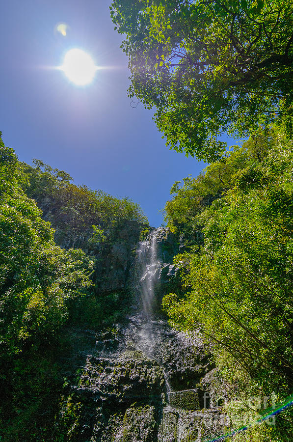 Wailua Falls in a lush tropical valley Maui Hawaii USA #2 Photograph by Don Landwehrle