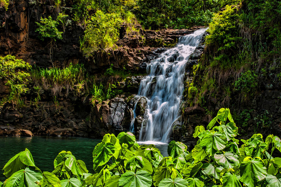 Waterfall Photograph - Waimea Falls #2 by Dan McManus