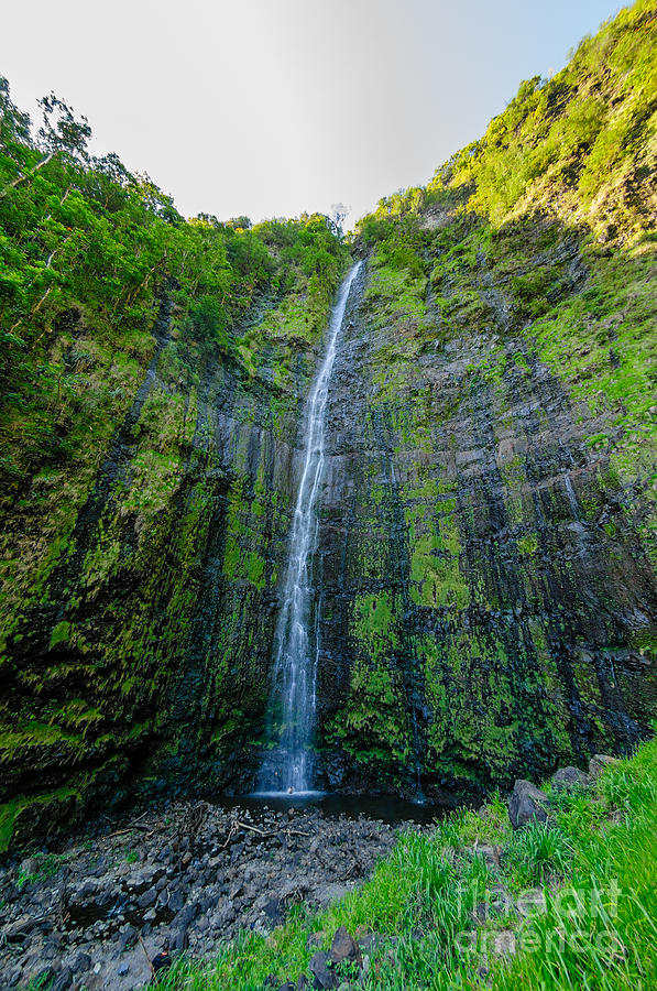 Nature Photograph - Waimoku Falls on The Road to Hana Maui Hawaii USA #2 by Don Landwehrle