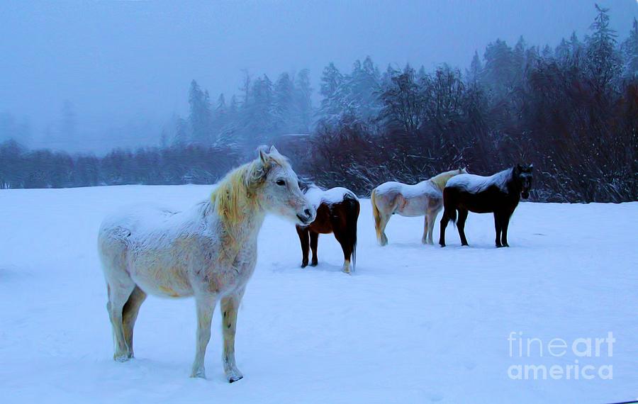 Waiting #1 Photograph by Roland Stanke