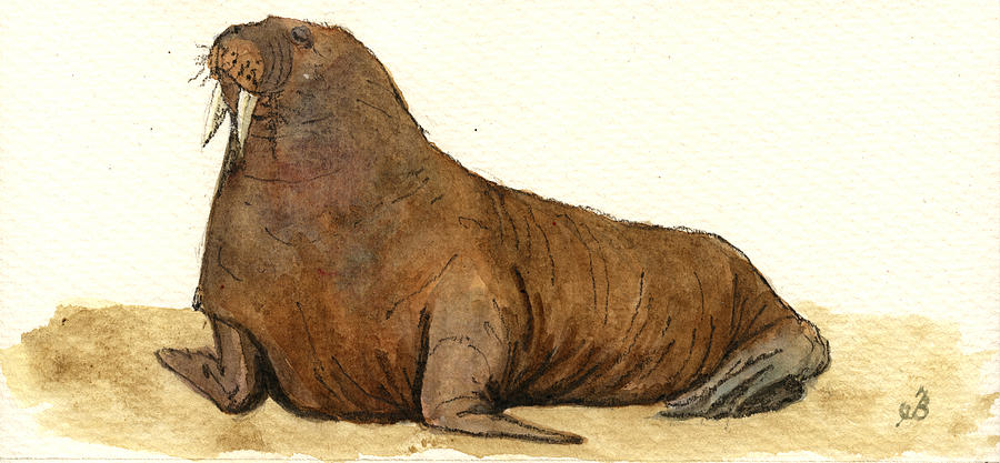 Wildlife Painting - Walrus #2 by Juan  Bosco