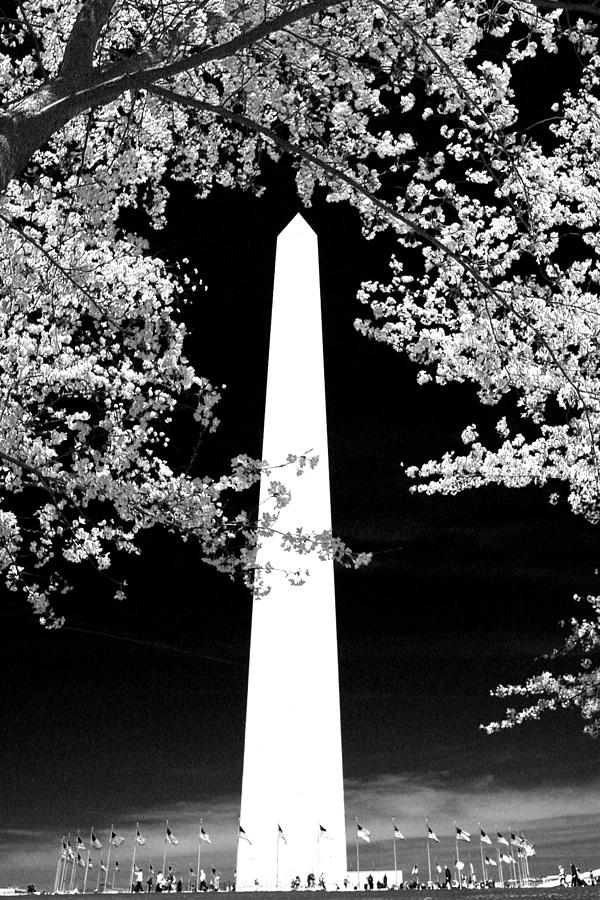 Washington Monument #2 Photograph by Mitch Cat