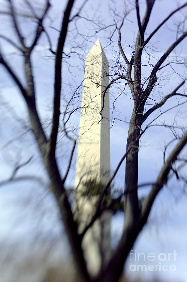 Washington Monument #2 Photograph by Tony Cordoza