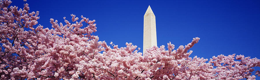 Washington Monument Photograph - Washington Monument Washington Dc #2 by Panoramic Images