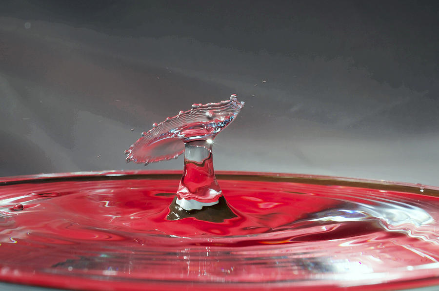 Water Drop Photograph by William Ragan - Fine Art America