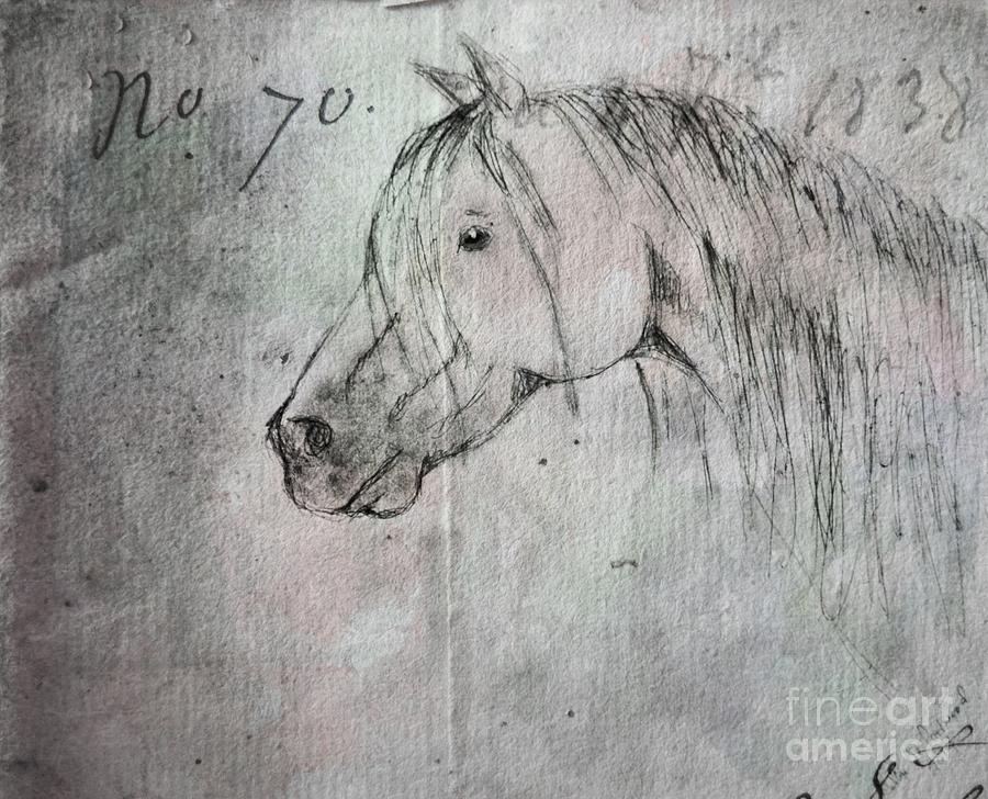 Watercolor horse head - digital effect Photograph by Debbie Portwood