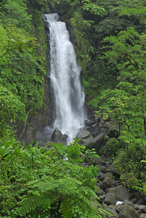 Waterfall in Dominica #2 Photograph by Willie Harper