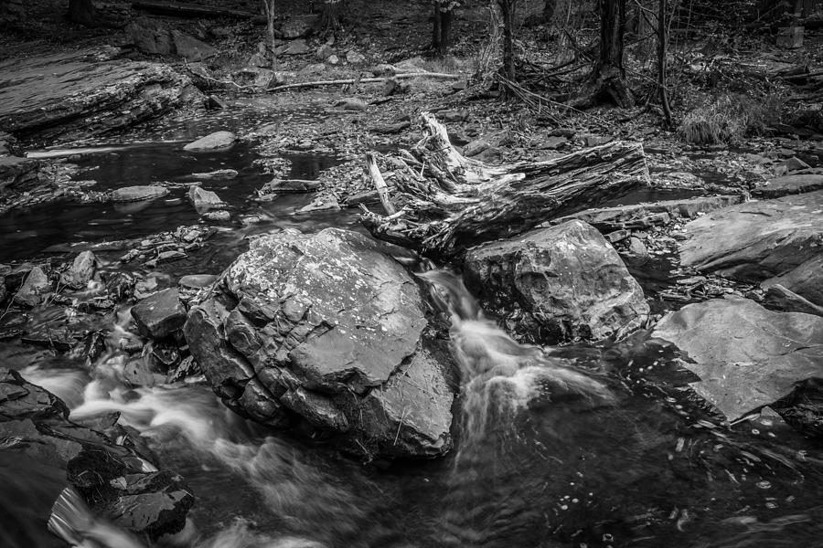 Waterfalls George W Childs National Park Painted BW   #2 Photograph by Rich Franco