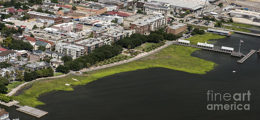 Waterfront Park in Charleston #1 Photograph by David Oppenheimer